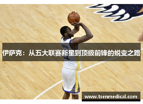 伊萨克:从五大联赛新星到顶级前锋的蜕变之路 伊萨克:从五大联赛新星到顶级前锋的蜕变之路